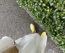 心理カウンセラーが心に寄り添う相談お受けします 恋愛・人間関係の悩みを丁寧に受け止めます。 イメージ1