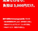 成果報酬でInstagram広告運用します 達成した成果で費用が変わる広告運用 イメージ1