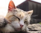 なんでも話してください！悩みや愚痴を伺います 家族や友人に話しづらいことはないですか？ イメージ1