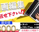 動画編集承ります 低価格で高品質な動画をお作りいたします。 イメージ1