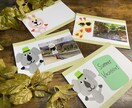 誕生日会やプレゼントで使えるカード製作します 誕生日会やプレゼントなど用途に合わせたカードを製作いたします イメージ2