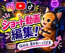 毎月Instagramセット納品いたします 高品質低価格TikTokYouTubeショートセットもOK イメージ1