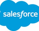 Salesforceのご相談を承ります セールスフォース歴10年以上の開発者がご対応します。 イメージ1