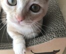 あなたの生きづらさ、一緒に書き換えます あなたの可能性を最大に広げるオンラインセッション(60分) イメージ1