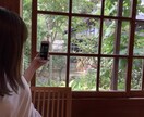 その恋叶えます 恋愛相談お任せください(^^) イメージ2