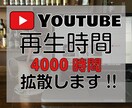 YouTunbe4000時間を提供します Youtubeでの収益化に最適です。 イメージ1