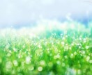 わたしがあなたを肯定します いつもがんばってるあなたへ ＊ 大丈夫､あなたは間違ってない イメージ1
