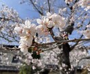 愚痴、子育ての悩み、恋愛話など、なんでも聞きます いろいろある世の中だけど、私にも出来ることがある イメージ1