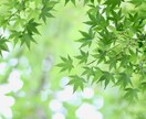 １０往復❣️あなたのペースでチャットします いつもお疲れ様です☘️時間を気にせずゆったりお話しませんか？ イメージ8