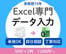 Excel専門データ入力代行。使えるデータにします 画像、PDFの文字をエクセルのデータへ。入力代行します。 イメージ1