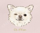 シンプルでやさしいうちの子（犬猫）アイコン描きます 実績作りのため1,000円！ペット似顔絵／アイコン イメージ10