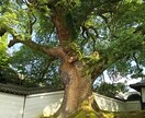 宣言、報告のやりとりします 一人ではなかなか取りかかれないあなたへ【片付け、タスク編】 イメージ1
