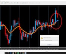 ＦＸはインジケ－タ一個で間に合います サインだけでＦＸ売り買いできますので高度なスキル要りません イメージ2