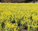 希望があれば占いのオマケ付き！今すぐ、お話聞きます お客様が辛い理由は何ですか？お悩み、お話ください。 イメージ3