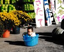 農家のリアル相談室　初心者OK　何でも相談ききます 栽培歴10年以上　農家の跡取りが、農業の疑問に何でも答えます イメージ5