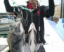 かかり釣り、ダゴチンのコツ教えます かかり釣り、ダゴチン。伝授します(^｡^) イメージ5