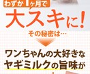 商品の魅力が伝わるLPヘッダー作成します 現役ライターがお客様目線で作成いたします イメージ1