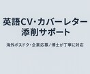 海外への大きな一歩！CV・カバーレターを添削します 研究職・留学経験者が英語で伝わる自己PRを構成からサポート！ イメージ2