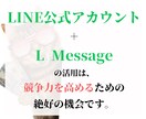 LINE公式アカウント作成もエルメの導入もやります エルメ導入で性能アップしたLINEを制作いたします！ イメージ9