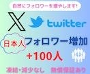 Twitter日本人フォロワー100人増やします ◇高品質◇＋10名分をサービス中！ イメージ1