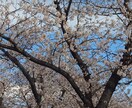 愚痴雑談聞きます 占いではありません。愚痴や雑談、いろんなお話しましょう！！ イメージ1