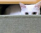 誰にも言えない話お聴きします 絶対に誰にも話せない！それでも誰かに話しを聞いて欲しい！ イメージ1