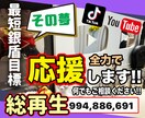 YouTube、TikTokの動画一緒に考えます 経験を元に一緒に語りましょう！！ イメージ1