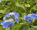 心軽くなる愚痴聞きサービスます 「今日のモヤモヤ、明日への元気に変えます！」 イメージ1