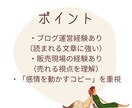 売れる商品説明・セールスコピーを作成します 「いい商品なのに売れない…」その原因、“文章”かもしれません イメージ4