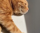 男性限定♡どんなお話でも何でも受け止めます 愚痴/お悩み/NGなし/気軽に話しましょう イメージ2