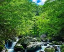 何かお話ししたい方、相談したい方お話し聞きます とにかく人の話を聞くのが好きです！お任せください。 イメージ1