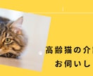 高齢猫の介護のお悩み、ご相談お受けします ​20年の猫飼育経験と専門知識であなたの不安に寄り添います イメージ2