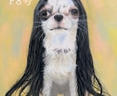 油絵で描きます 生き物の似顔絵、絵画一点物作品！ イメージ7