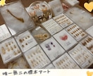 フルオーダーメイドで『昆虫標本』つくります 世界にひとつだけ。記録と記憶に残るをお手伝い♪ イメージ5