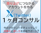 X運用代行に頼らないXの運用方法をコンサルします 収益化や認知拡大など目的に合わせてアドバイスいたします！！ イメージ1