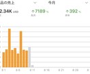 アマゾン セラーセントラル のアドバイスします アマゾン セラーセントラル 売上 非公開 機能 イメージ2