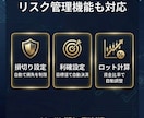 MT4/MT5対応のオリジナルEAを作成します ◆シンプルな条件から複雑な手法まで見積もり対応◆ イメージ6