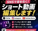 ショート動画を編集しますます SNS向けに見やすく丁寧に編集します イメージ1