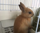 心理カウンセラーが心の悩み相談受け付けます 苦しい思いをしている方お待ちしております イメージ1