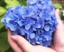 実体験思考実現の方法をコーチングします 自分に自信がない方いつも思うことが叶わないと思うあなたへ イメージ1