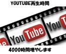 Youtube再生回数を４０００増やします 収益化を目指している方におすすめ イメージ1