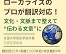 翻訳歴25年｜ローカライズのプロが翻訳対応します 翻訳を超えたローカライゼーションで自然な表現に仕上げます イメージ1