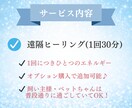 ペット専用☆愛するペットの心と体を癒します 寂しい思いをさせてる…ペットが亡くなった…更なる愛を送ります イメージ6