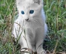 どんなお話でも聞きます 愚痴、悩み相談、恋愛相談なんでも話聞きます！ イメージ1