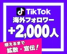 TikTokの海外フォロワーを2000人増やします TikTok｜ティックトック｜外国人｜フォわー増｜補填保証 イメージ1