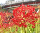 豊田市内でお墓参り･お掃除を代行します 病気･怪我･ご年齢や遠方でお墓に行けなくなってしまった方へ イメージ1