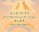 お空に帰った子とアニマルコミュニケーションします 後悔や悲しみを癒しに変えましょう。 イメージ4