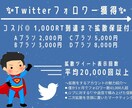 Twitter新規フォロワー獲得します 1,000RTまで拡散保証付＼ココナラ開設キャンペーン中／ イメージ2