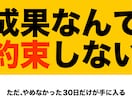 習慣化　脱三日坊主やめなかった30日を記録します 送った30日が、一本の動画になる。三日坊主とおさらば イメージ8