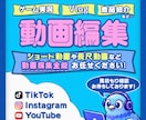 SNSショート・YouTube動画編集いたします 初めての方でも安心！SNSやYouTubeの動画編集します。 イメージ1